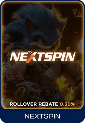 NS games